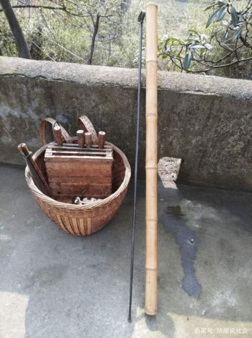 景区商家喇叭硬核给爬山游客鼓劲 网友 商机无处不在