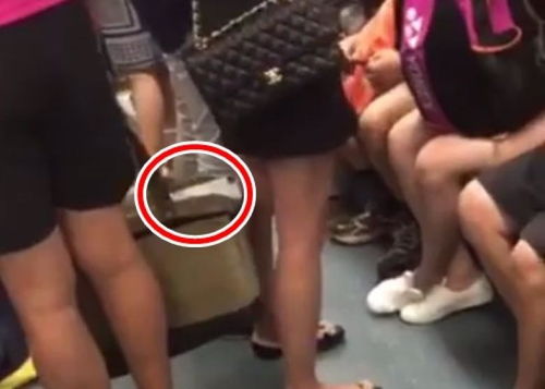 新加坡一男子在地铁偷拍女性裙底 