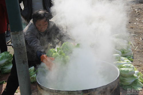 这些菜都是下饭的 好同志 渍酸菜 苤蓝 辣白菜