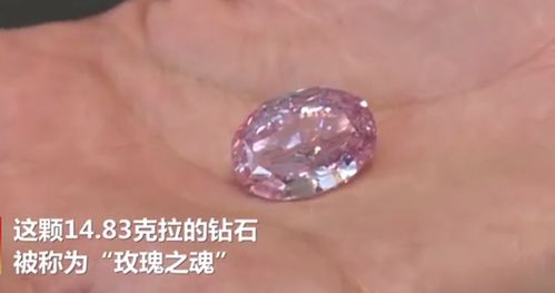 世界最大紫粉钻石拍出2660万美元 重达14.83克拉
