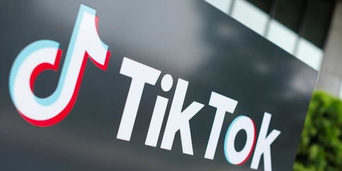 美媒 美商务部决定暂不执行TikTok禁令