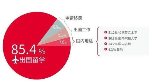 雅思只有出国留学才有用 不,考公务员也需要