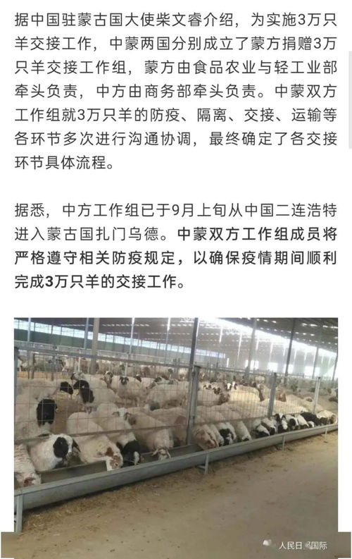 蒙古国捐赠的3万只羊又有新消息了