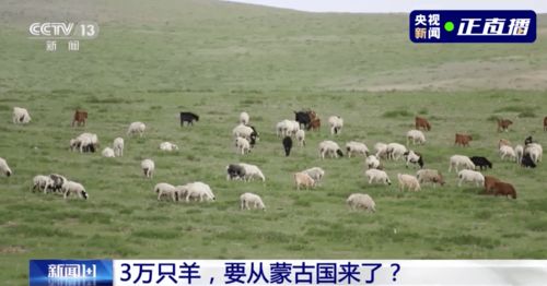 FM89.2