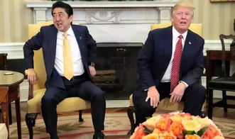 特朗普还是不是 白手套 总统 日本资深媒体人这样看