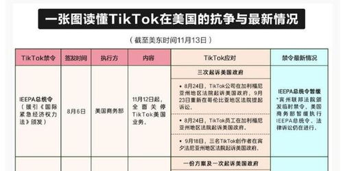 美媒 TikTok美国关停禁令暂缓,强制出售禁令延期15天