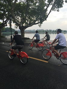 阿根廷总统夫妇骑公共自行车 畅游西湖 