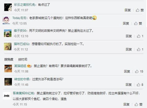 云南一县发通告 城区禁止遛狗,违反三次捕杀