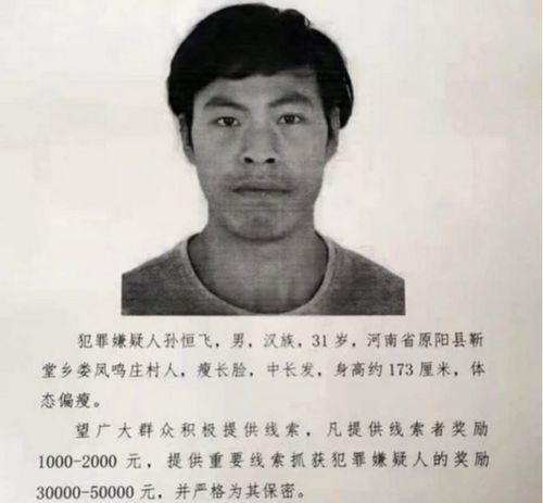 河南6口被杀案警方辟谣凶手未死,带走一名8岁女童在逃,村民 两家有感情矛盾