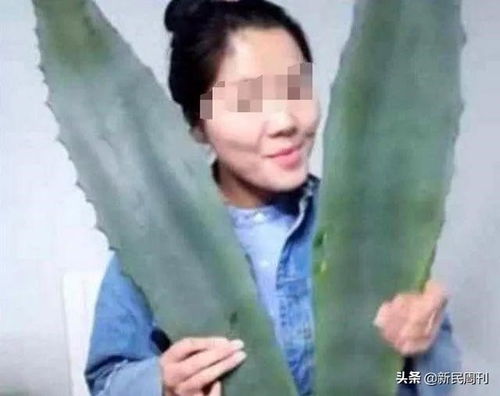 氢元数据观察 女主播在西湖边跪爬征婚,直播监管何时提速