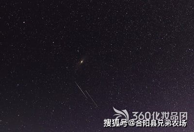 狮子座流星雨17日光临地球 17日19时将迎来最大