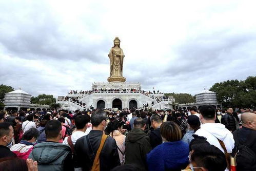 一顿便饭1900元,普陀山天价饭背后,景区三年收入12亿