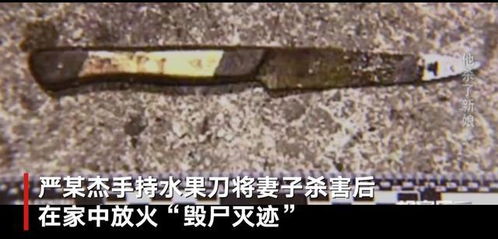 上海 杀妻焚尸案 受害者家属发声 二人元旦刚结婚,事发前毫无征兆,唯一诉求是判处凶手死刑