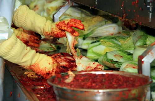 中国向全世界宣布,将主导制定泡菜业国际标准,韩媒 我们的耻辱