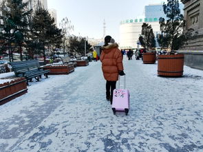 快来大东北的雪地上撒点野