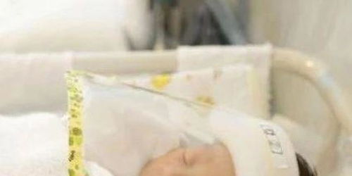 新加坡研究 孕妇感染新冠 婴儿出生全自带抗体
