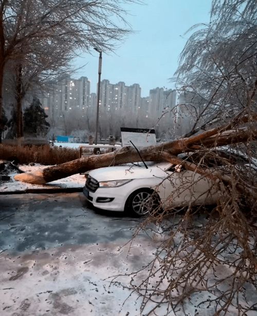 联合国又发出警告 这次可能比疫情还要糟糕