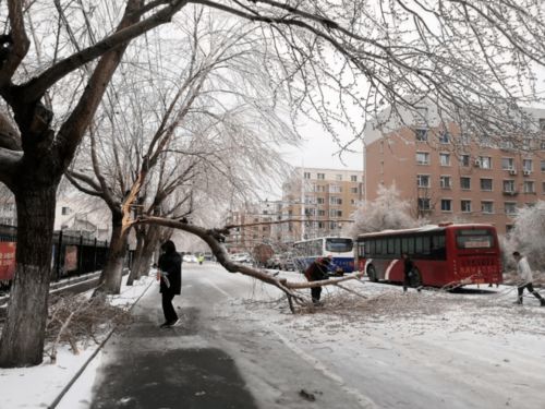 临省城市遭遇极端天气 交通瘫痪 多辆私家车被砸