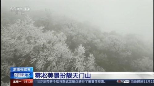 深圳游客到漠河旅游 穿人字拖下飞机 