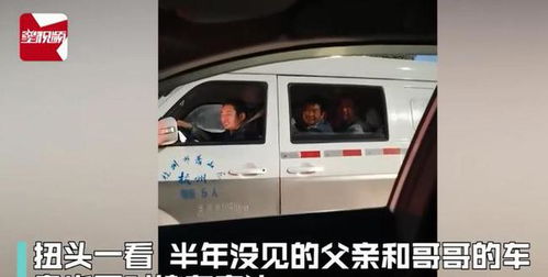 浙江一女子高速路遇堵车,扭头一看又惊又喜