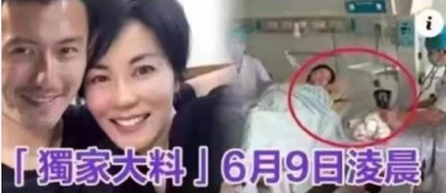 锋菲复合7年,51岁王菲被曝生女,谢霆锋强势维权公开感情现状