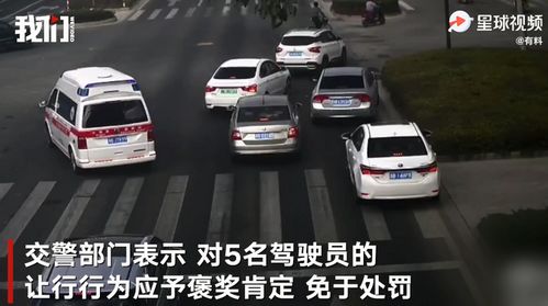 5辆车同时闯红灯民警被吓坏,仔细一看监控决定直接集体免罚