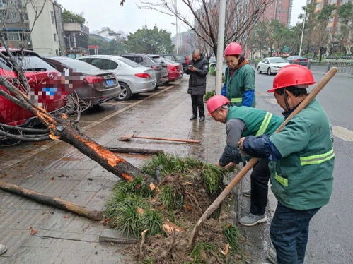 近日多雨 乐山发生多起车祸 现场触目惊心...