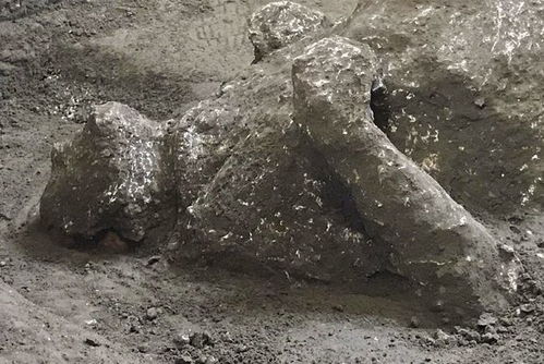 庞贝古城惊现死于维苏威火山喷发的主仆二人遗骸