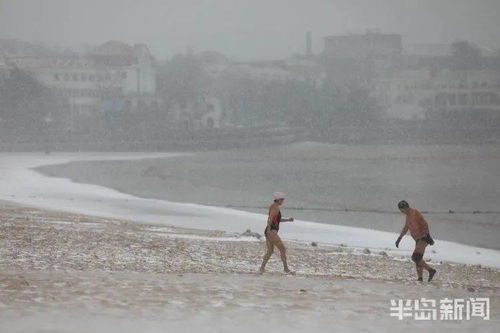 11 持续 青岛新一轮冷空气即将到货...网友苦等的雪后大片,也来了