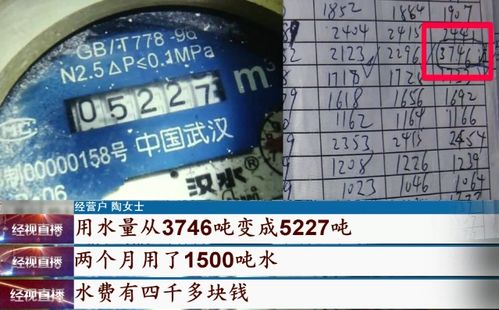 啥原因 2个月用水1500吨,水费4000多元 物业 由租户自己承担