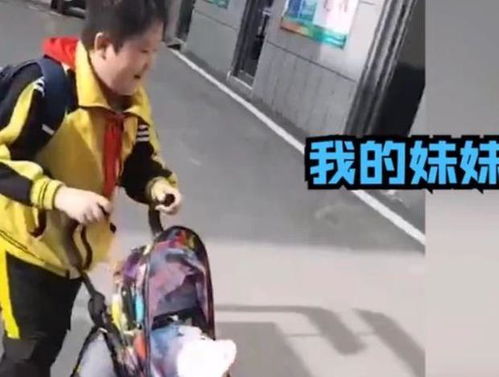 小男孩路上 遛妹妹 ,逢人就炫耀自己有妹妹,爸妈哭笑不得