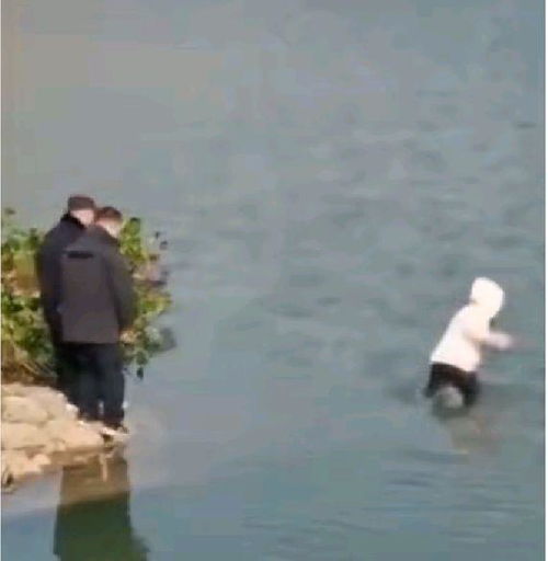 央视主播评安徽女孩轻生溺亡,被顶到了风口浪尖