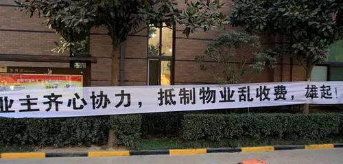 捆绑车位 外墙脱落 阴阳房价 物业乱收费...我们受够了 