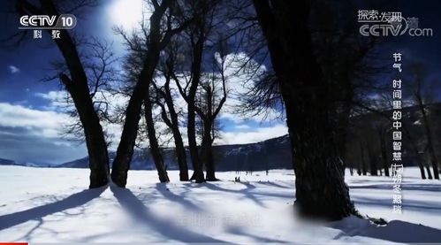 今天开始我国各地进入大雪节气 养生注意这几点