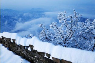 大雪 无飞雪 仲冬已开始 天更冷了 你穿秋裤了吗