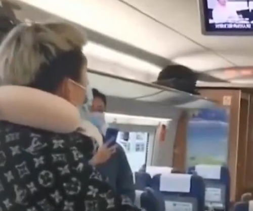 女子高铁上高声辱骂自己母亲,脏话连篇 乘客去劝还被怼