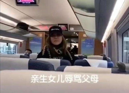 冷血 女子高铁上辱骂母亲弃母下车,乘客劝阻反遭怼 给你们管