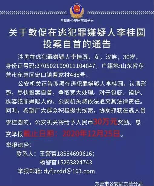 90后涉黑女疑犯 由购车贷款担保到暴力催收 