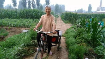 咱太康老家的压水井,那压出来的水 你多久没喝了 内附老家菜地