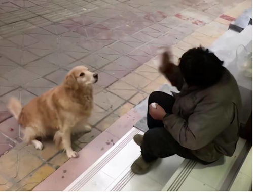 天津 你 增速全国第一 天津这个行业 火 了 马上,这些地铁站口买早餐更方便啦