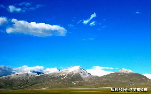 不可思议 4700万年前,青藏高原竟是一片亚热带森林