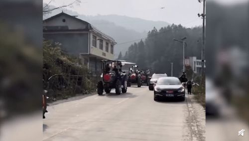 最强农机迎亲车队 返乡大学生新娘用插秧机当婚车,网友 真霸气
