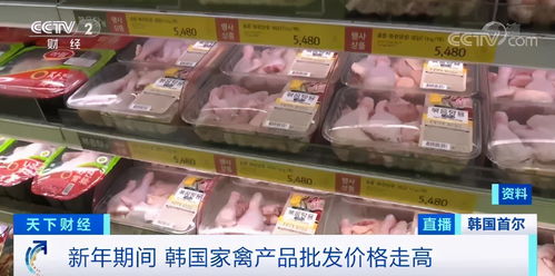 超千万只家禽被扑杀 韩国禽流感肆虐,鸭肉涨价近7成