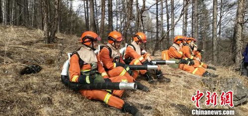 北纬53 森林消防员日常巡护 每天热身两万步起 