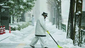 日本暴雪600多人伤亡 