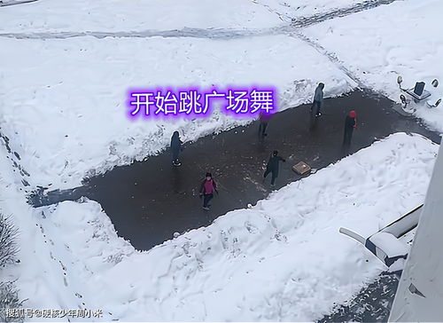 辽宁大妈为了跳广场舞,一大早起来铲雪,次日就有人 扛不住 了