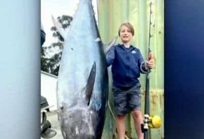 独自搏斗2小时45分钟 澳大利亚10岁男孩钓上88公斤金枪鱼