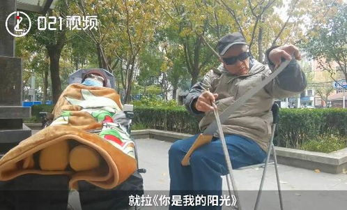 老人带瘫痪妻子晒太阳拉琴伴奏 不计代价照顾好她