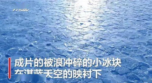 新疆赛里木湖现蓝冰拼图奇观 网友称有异世界森林既视感