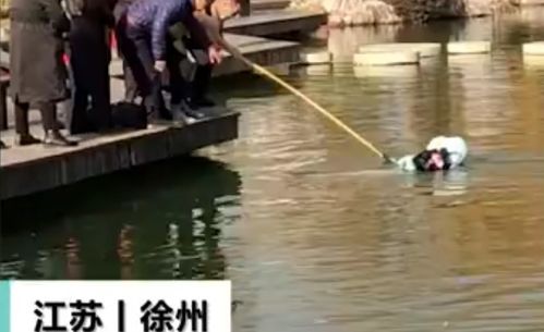 女子倒着走路 踩空坠湖因羽绒服漂浮被救